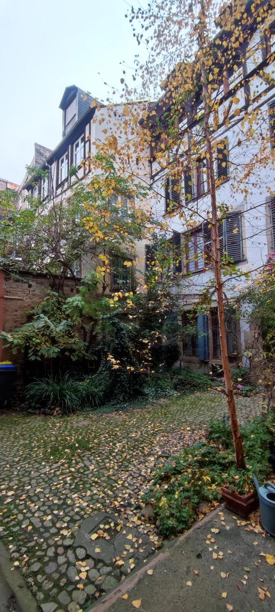 Haven Apartment *